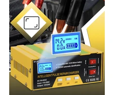 Automobilio akumuliatoriaus įkroviklis PowerPulse 12V/24V
