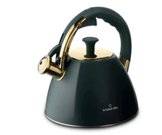 Indukcinis virdulys Starke Pro, 2,5L