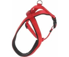 Flamingo Pet Products Flamingo Abbi raudonos petnešos šunims XXS 42-50cm 15mm