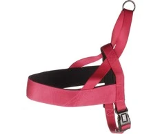 Flamingo petnešos Abbi Cherry Raudona XL