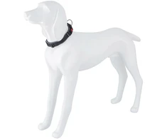 Freedog Import Sl Freedog Extreme nailoninis juodas antkaklis šuniui 20mm x 35-51cm