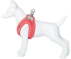 Freedog Import Sl Freedog Shiva raudonos petnešos šuniui S 35–40 cm
