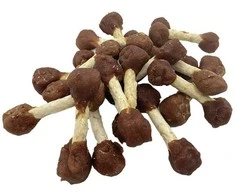 HiBrand Sp. z o.o. Bubu Pets šunų hanteliai su antiena 500g