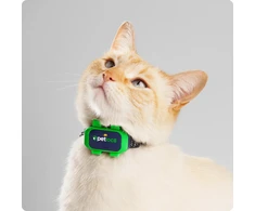Trackimo PetLoc8 Mini GPS sekimo įrenginys