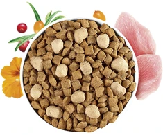 Vafo Praha Sro Brit Care Grain-Free Sterilized with Raw Delights kačių ėdalas 2kg