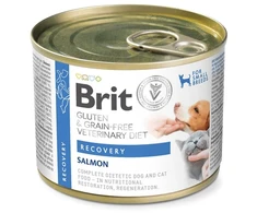 Vafo Praha Sro Brit Veterinary Diet Recovery šlapias pašaras šunims ir katėms 200g