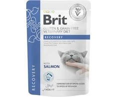 Vafo Praha Sro Brit GF Veterinary Diets konservai katėms maiš. Recovery 85g