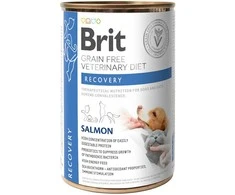 Vafo Praha Sro Brit GF Veterinary Diets konservai šunims ir katėms Recovery 400g 400g