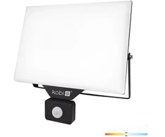 100W LED prožektorius su judesio davikliu DELYO MHNC, juodas, 4000K, IP54