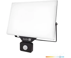 100W LED prožektorius su judesio davikliu DELYO MHNC, juodas, 6000K, IP54