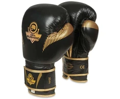 BUSHIDO 10oz Bokso pirštinės - Aureos - Valor serija