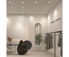 10W LED įleidžiamas šviestuvas ALVEY, baltas, 2700/4000/6500K, 4323000