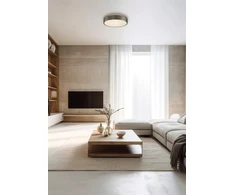 10W LED lubinis šviestuvas DINS, matinės nikelio sp., 2700/3000/4000K, dimeriuojamas, IP44, P0395072NMDP