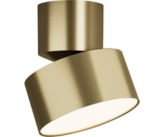 10W LED lubinis šviestuvas, matinės aukso sp., 3000K, 25314