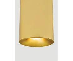 10W LED lubinis šviestuvas, matinės žalvario sp., 3000K, IP54, 25298
