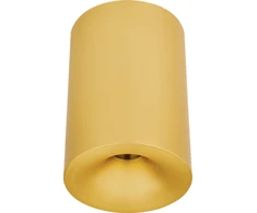 10W LED lubinis šviestuvas, matinės žalvario sp., 3000K, IP54, 25298