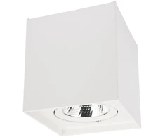 10W LED paviršinis pakreipiamas lubinis šviestuvas PC 01, matinės baltos sp., 3000K