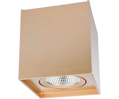 10W LED paviršinis pakreipiamas lubinis šviestuvas PC 01, matinės aukso sp., 4000K