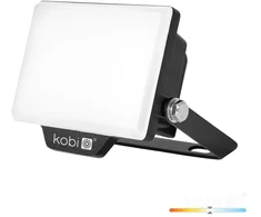 10W LED prožektorius DELYO MHN, juodas, 4000K, IP65