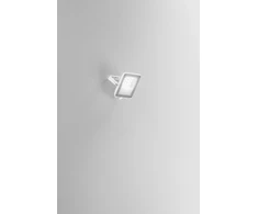 10W LED prožektorius ESUS, baltas, CCT, IP65