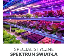 10W LED stalo šviestuvas augalų auginimui VITARO, juodas