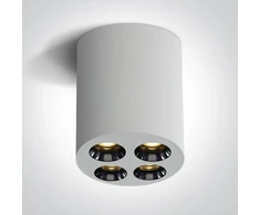 Lubinis šviestuvas 10W paviršinis šviestuvas, baltas, 3000K, 12110H/W/W