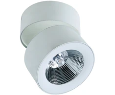 Lubinis šviestuvas 11W LED paviršinis šviestuvas MORIS, baltas, 3000K, 4208300