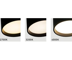 12W LED lubinis šviestuvas, juodas, 2700/3200/4000K, DALI, IP44, 25216