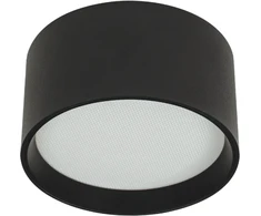 12W LED lubinis šviestuvas, juodas, 2700/3200/4000K, DALI, IP44, 25216
