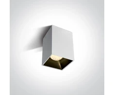 Lubinis šviestuvas 12W LED paviršinis šviestuvas, baltas, 3000K, 12112ZA/W/W