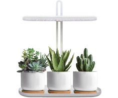 12W LED stalo šviestuvas augalų auginimui BLOOM, baltas, 4500K