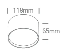 Lubinis šviestuvas 14W LED paviršinis šviestuvas, baltas, 3000/4000/5000K, 12114M/W/V