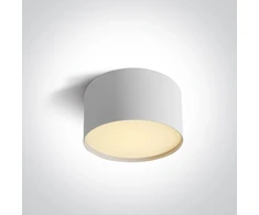 Lubinis šviestuvas 14W LED paviršinis šviestuvas, baltas, 3000/4000/5000K, 12114M/W/V