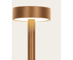 1,5W LED įsmeigiamas lauko šviestuvas, rudas, 3000K, IP65, E465