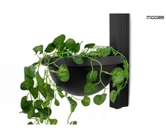 16W LED sieninis šviestuvas PLANT WALL, juodas, 3000K