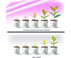 17W LED linijinis šviestuvas augalų auginimui GROWLY, baltas
