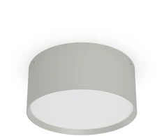 18W LED lubinis šviestuvas ALIS, baltas, 2700/4000K, dimeriuojamas, IP44, P3998170BDT