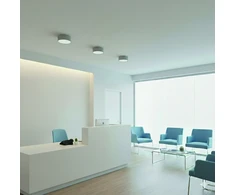 18W LED lubinis šviestuvas ALIS, baltas, 2700/4000K, dimeriuojamas, IP44, P3998170BDP