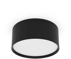 18W LED lubinis šviestuvas ALIS, juodas, 2700/4000K, dimeriuojamas, IP44, P3998170NDP