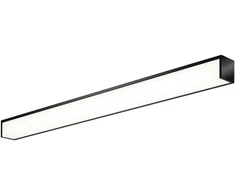 Sieninis šviestuvas 18W LED sieninis veidrodžio šviestuvas TAVI, juodas, 3000/4000K, IP44, A3850070N