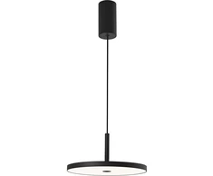 19W LED pakabinamas šviestuvas DEMY, juodas, 3000K, 4340900