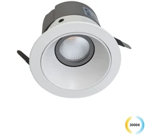 20W LED įleidžiamas šviestuvas ALEA, baltas, 3000K, 3914-012W-3-S-38