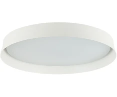 Lubinis šviestuvas 20W LED paviršinis lubų šviestuvas, baltas, 3000K, dimeriuojamas, 22127