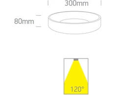 Lubinis šviestuvas 20W LED paviršinis šviestuvas, antracito sp., 2700/3000/4000K, 62130N/AN/V