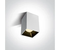 Lubinis šviestuvas 20W LED paviršinis šviestuvas, baltas, 3000K, 12120ZA/W/W