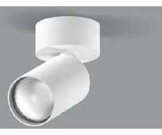 Lubinis šviestuvas 20W LED paviršinis šviestuvas DAISY 80, baltas, 3000K, 58°, DALI, matiniu dangteliu