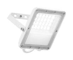 20W LED prožektorius ESUS, baltas, CCT, IP65