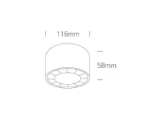 Lubinis šviestuvas 20W paviršinis šviestuvas, juodas, 3000K, 12120X/B/W
