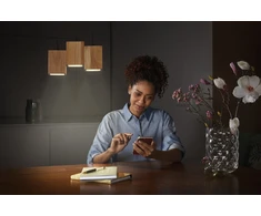 21W LED pakabinamas šviestuvas SMART+, medienos/juodos sp., 3000–6500K, dimeriuojamas