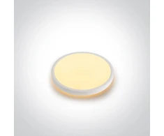 Lubinis šviestuvas 22+3W LED paviršinis šviestuvas, baltos sp., 2700/3200/4000K, 300mm, šviečia į viršų ir į apačią, 62002A/W/V